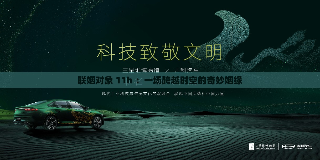 联姻对象 11h ：一场跨越时空的奇妙姻缘