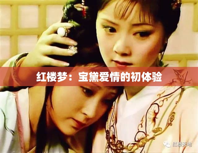 红楼梦：宝黛爱情的初体验