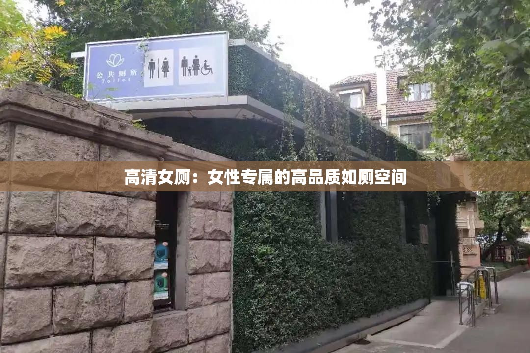 高清女厕：女性专属的高品质如厕空间