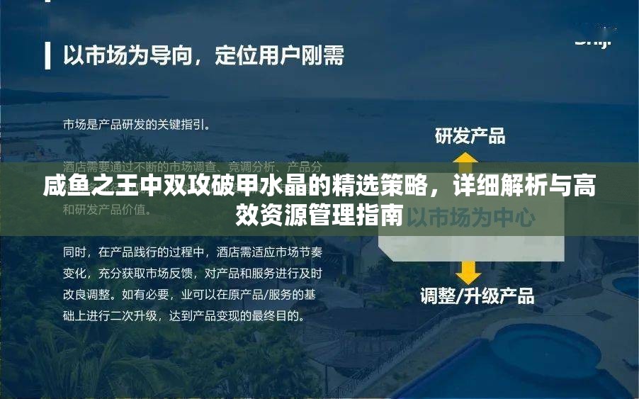 咸鱼之王中双攻破甲水晶的精选策略，详细解析与高效资源管理指南