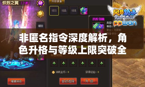 非匿名指令深度解析，角色升格与等级上限突破全面攻略指南