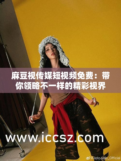 麻豆视传媒短视频免费：带你领略不一样的精彩视界