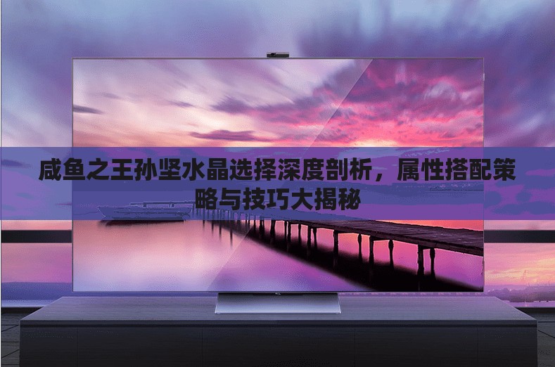 咸鱼之王孙坚水晶选择深度剖析，属性搭配策略与技巧大揭秘