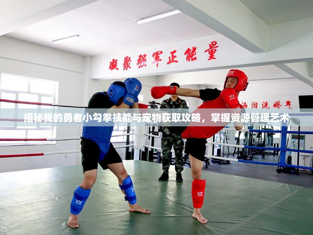 揭秘我的勇者小勾拳技能与宠物获取攻略，掌握资源管理艺术