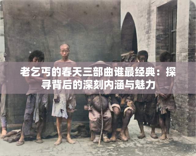 老乞丐的春天三部曲谁最经典：探寻背后的深刻内涵与魅力