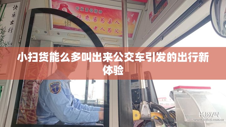 小扫货能么多叫出来公交车引发的出行新体验