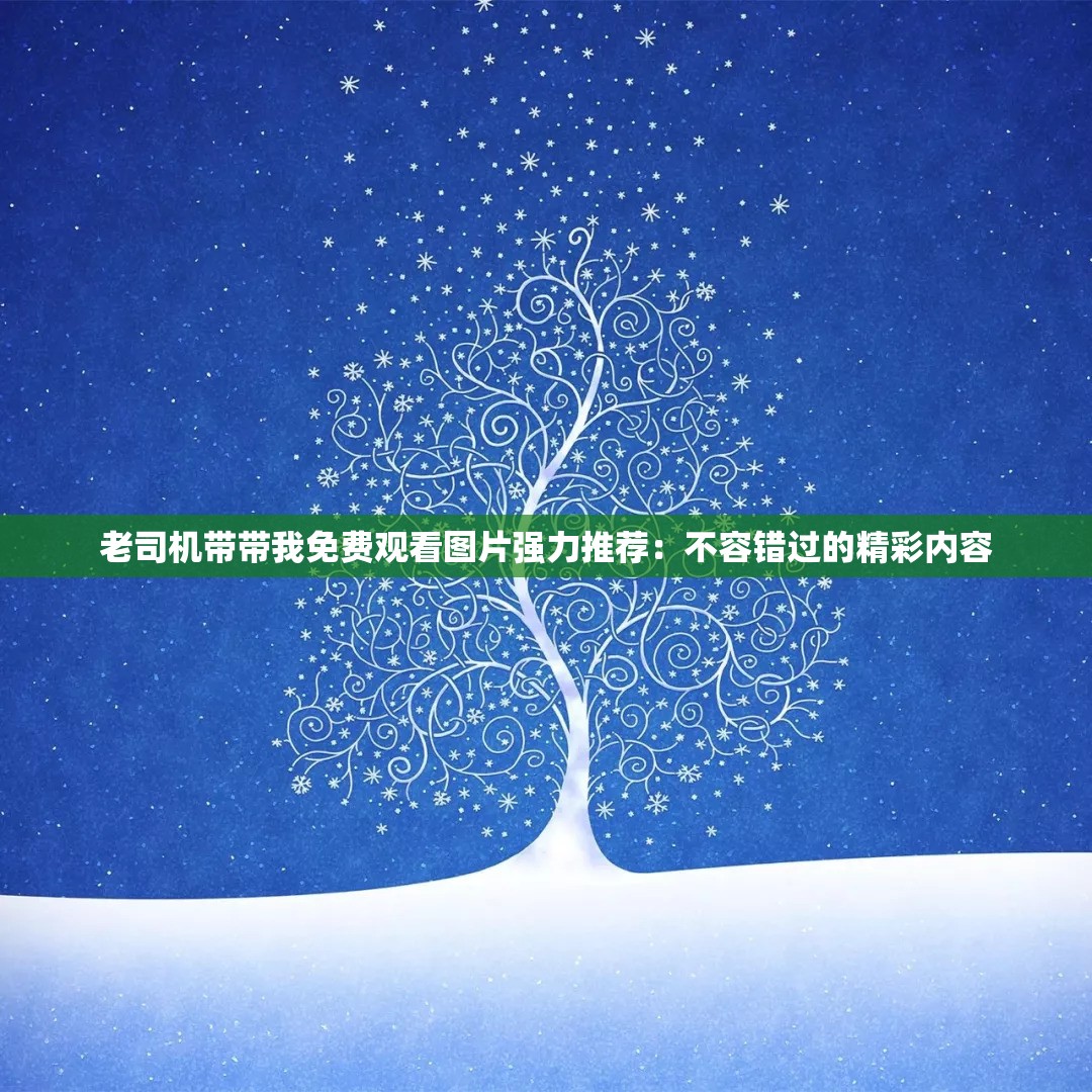 老司机带带我免费观看图片强力推荐：不容错过的精彩内容