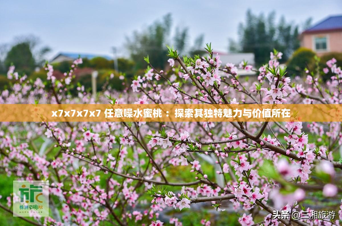 x7x7x7x7 任意噪水蜜桃 ：探索其独特魅力与价值所在