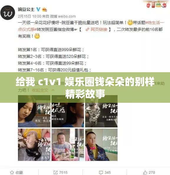 给我 c1v1 娱乐圈钱朵朵的别样精彩故事