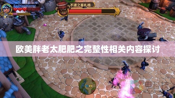 欧美胖老太肥肥之完整性相关内容探讨