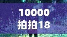 10000拍拍18勿入免费凤凰：神秘且充满诱惑的未知领域