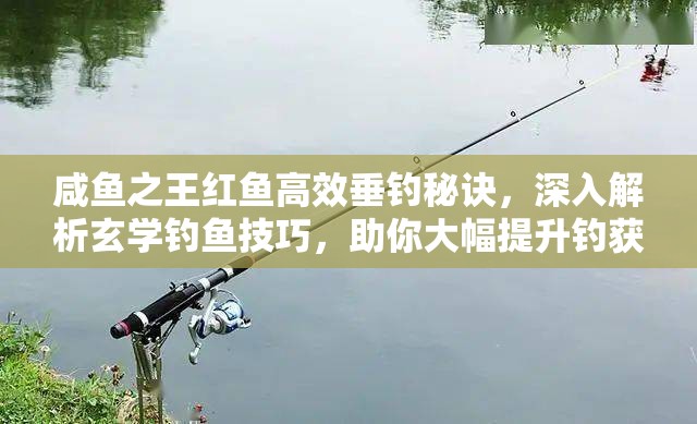 咸鱼之王红鱼高效垂钓秘诀，深入解析玄学钓鱼技巧，助你大幅提升钓获概率！