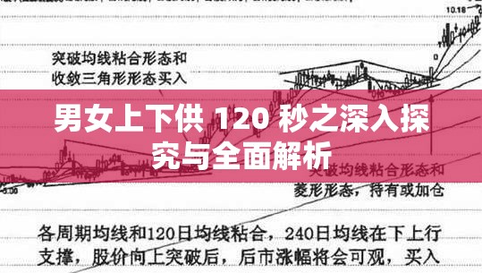男女上下供 120 秒之深入探究与全面解析