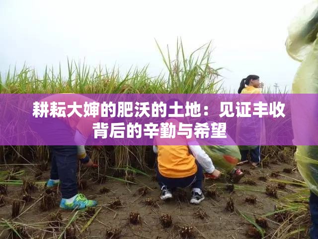 耕耘大婶的肥沃的土地：见证丰收背后的辛勤与希望