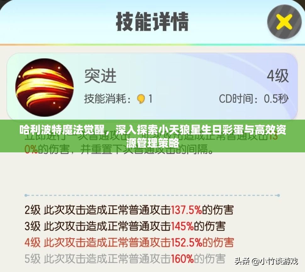 哈利波特魔法觉醒，深入探索小天狼星生日彩蛋与高效资源管理策略