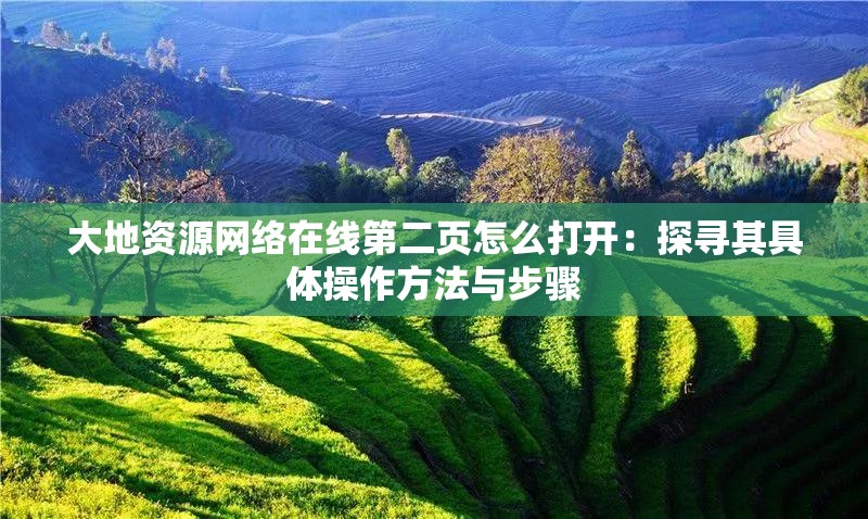 大地资源网络在线第二页怎么打开：探寻其具体操作方法与步骤