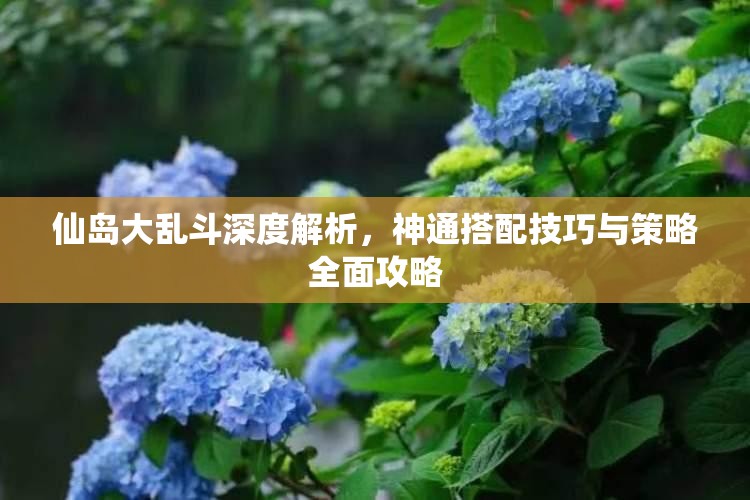 仙岛大乱斗深度解析，神通搭配技巧与策略全面攻略