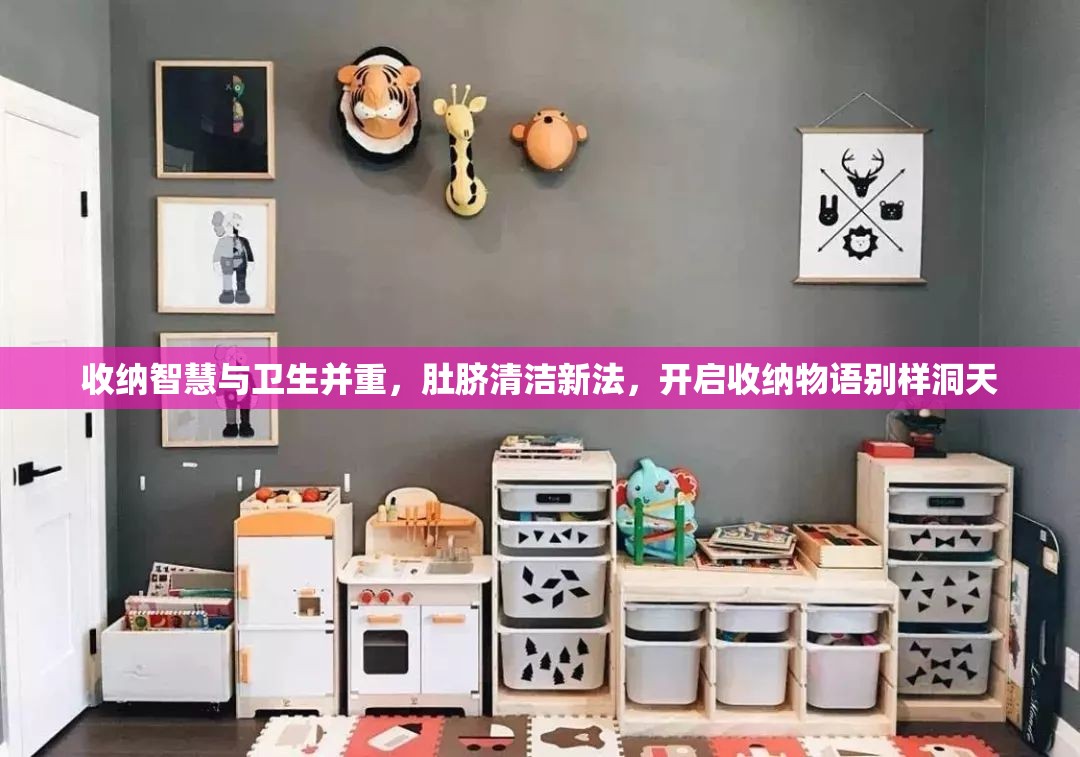 收纳智慧与卫生并重，肚脐清洁新法，开启收纳物语别样洞天
