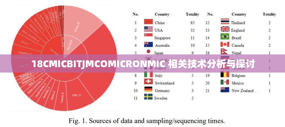 18CMICBITJMCOMICRONMIC 相关技术分析与探讨