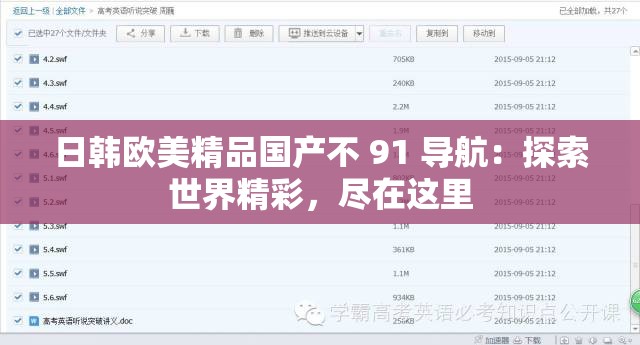日韩欧美精品国产不 91 导航：探索世界精彩，尽在这里