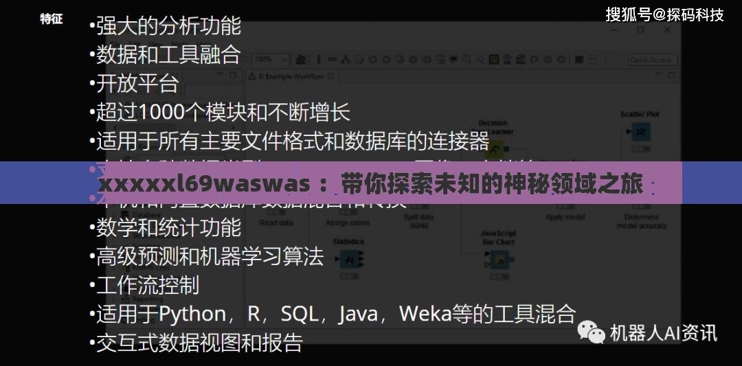 xxxxxl69waswas ：带你探索未知的神秘领域之旅