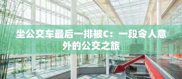 坐公交车最后一排被C：一段令人意外的公交之旅