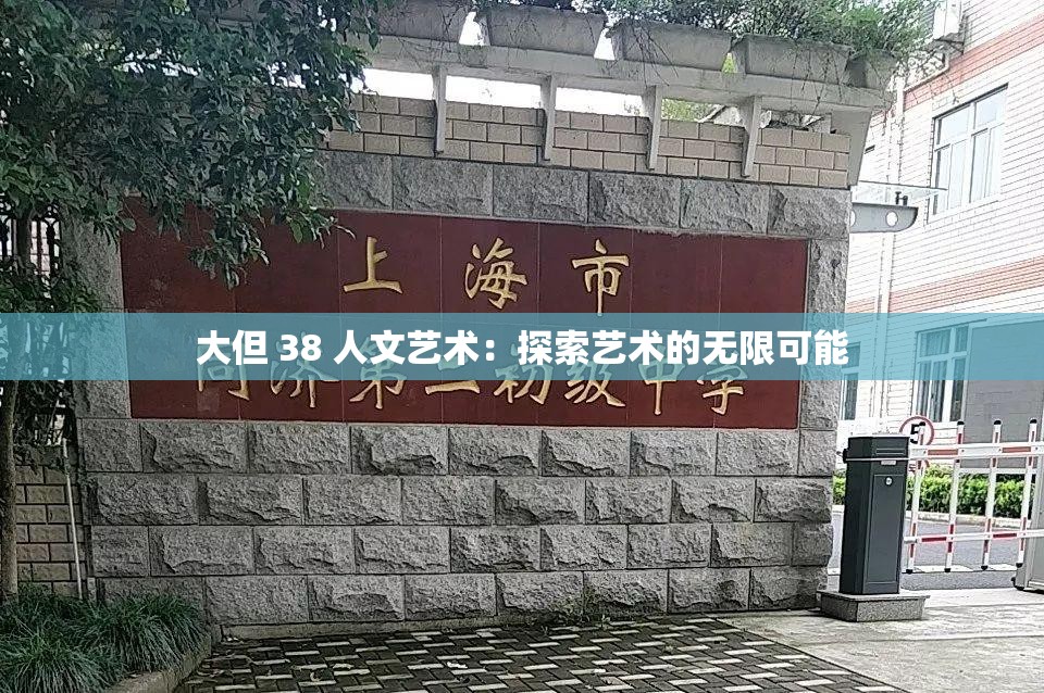 大但 38 人文艺术：探索艺术的无限可能