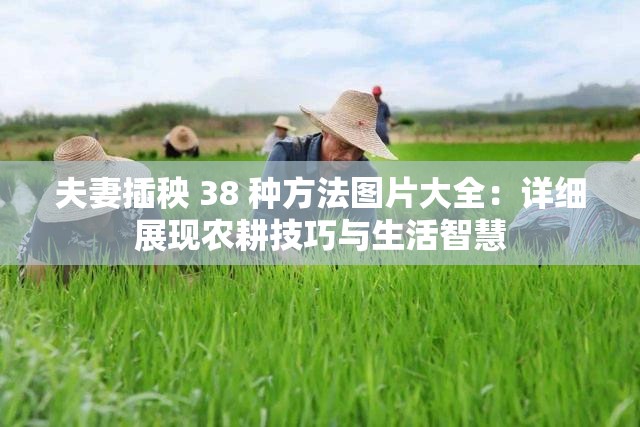 夫妻插秧 38 种方法图片大全：详细展现农耕技巧与生活智慧