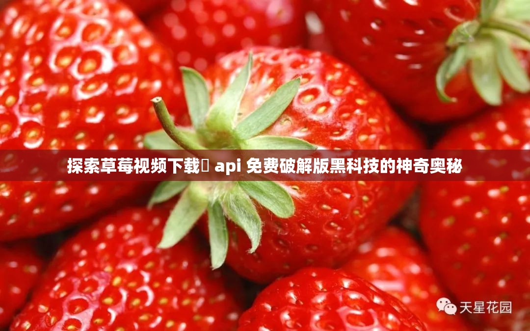 探索草莓视频下载汅 api 免费破解版黑科技的神奇奥秘