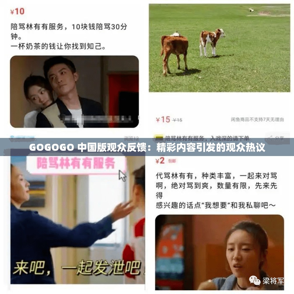 GOGOGO 中国版观众反馈：精彩内容引发的观众热议