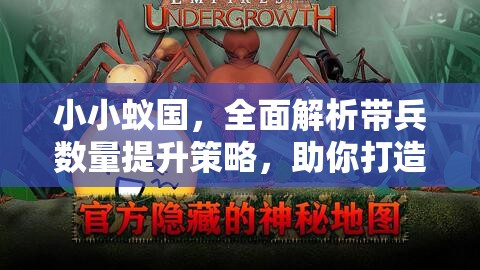 小小蚁国，全面解析带兵数量提升策略，助你打造战无不胜的蚂蚁军团