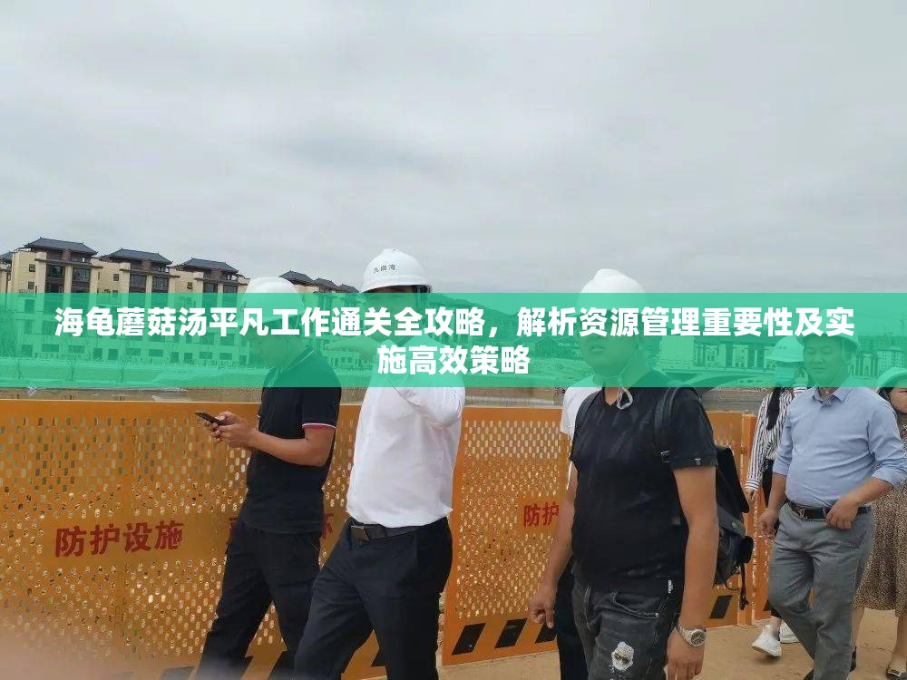 海龟蘑菇汤平凡工作通关全攻略，解析资源管理重要性及实施高效策略