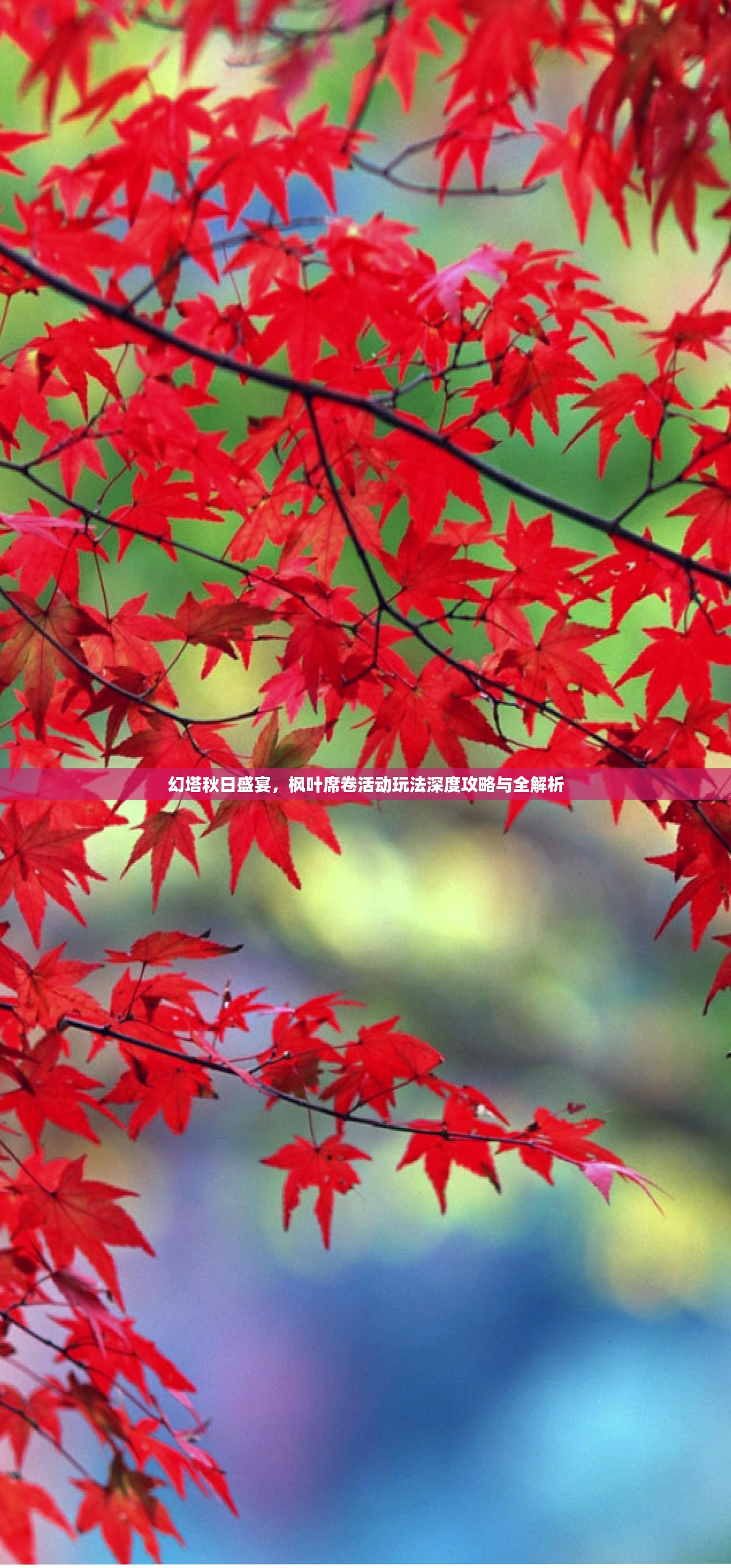 幻塔秋日盛宴，枫叶席卷活动玩法深度攻略与全解析