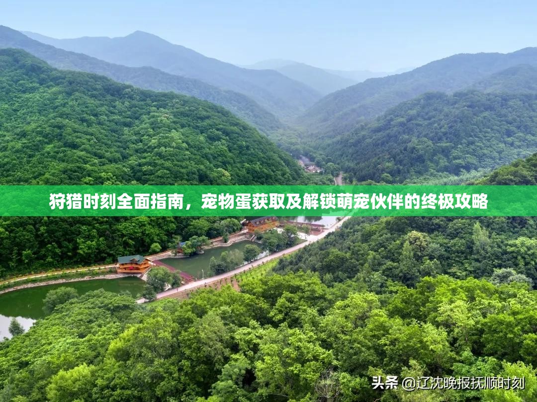 狩猎时刻全面指南，宠物蛋获取及解锁萌宠伙伴的终极攻略