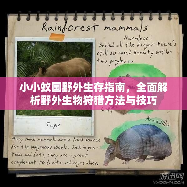 小小蚁国野外生存指南，全面解析野外生物狩猎方法与技巧