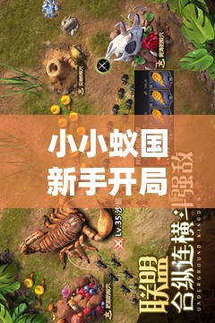 小小蚁国新手开局全方位指南，从零开始，打造属于你的强大地下蚂蚁王国