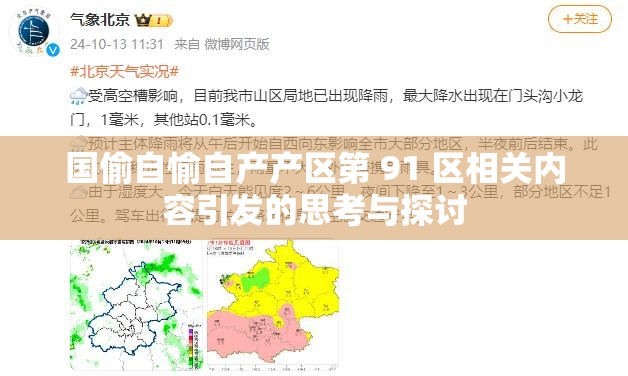 国偷自愉自产产区第 91 区相关内容引发的思考与探讨