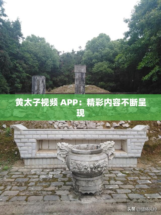 黄太子视频 APP：精彩内容不断呈现
