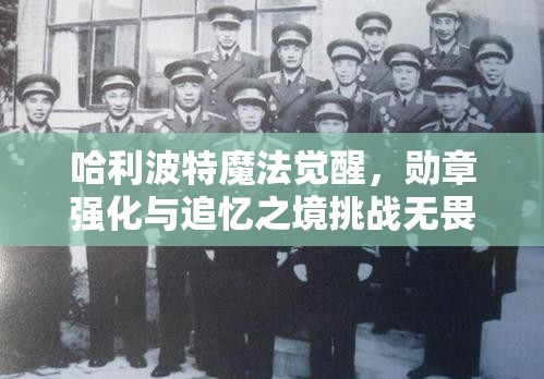 哈利波特魔法觉醒，勋章强化与追忆之境挑战无畏全攻略指南