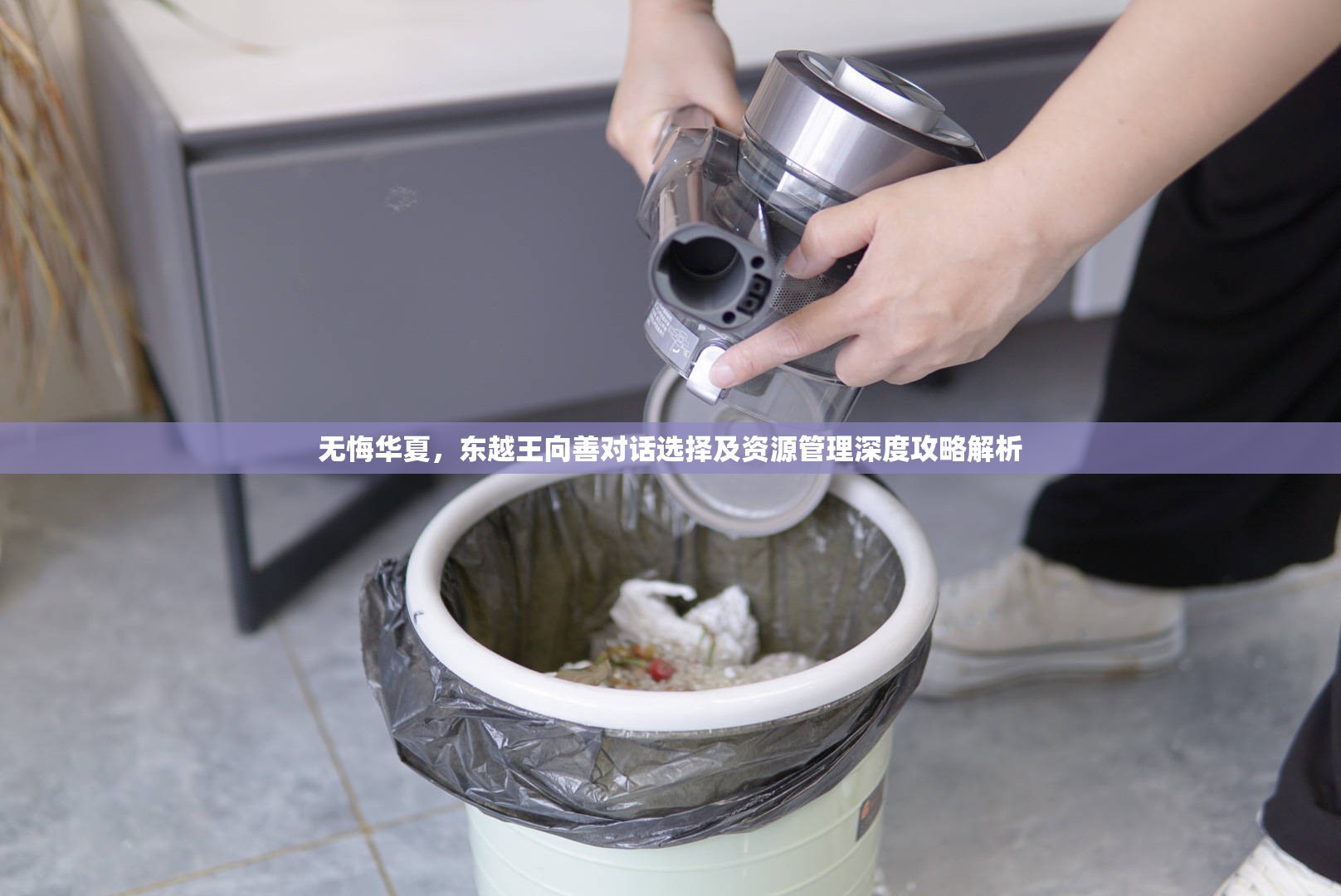 无悔华夏，东越王向善对话选择及资源管理深度攻略解析