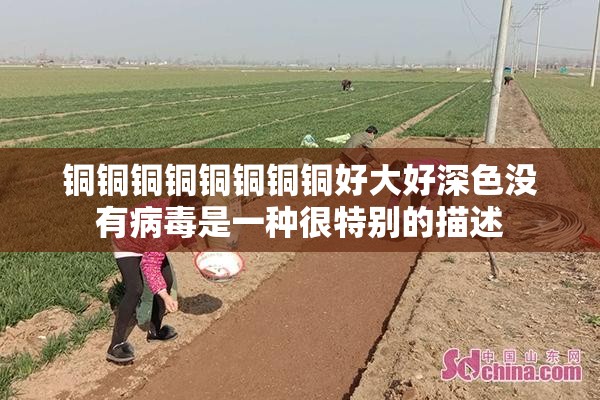 铜铜铜铜铜铜铜铜好大好深色没有病毒是一种很特别的描述