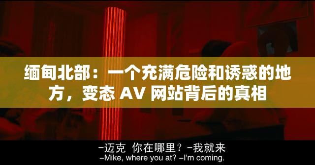 缅甸北部：一个充满危险和诱惑的地方，变态 AV 网站背后的真相