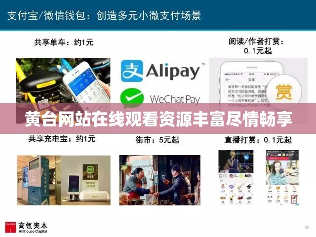 黄台网站在线观看资源丰富尽情畅享