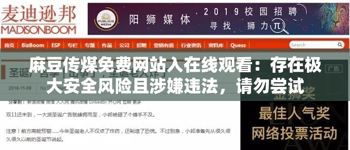 麻豆传煤免费网站入在线观看：存在极大安全风险且涉嫌违法，请勿尝试