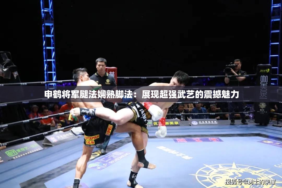 申鹤将军腿法娴熟脚法：展现超强武艺的震撼魅力