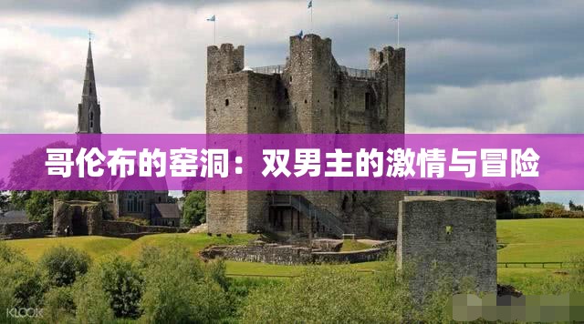 哥伦布的窑洞：双男主的激情与冒险