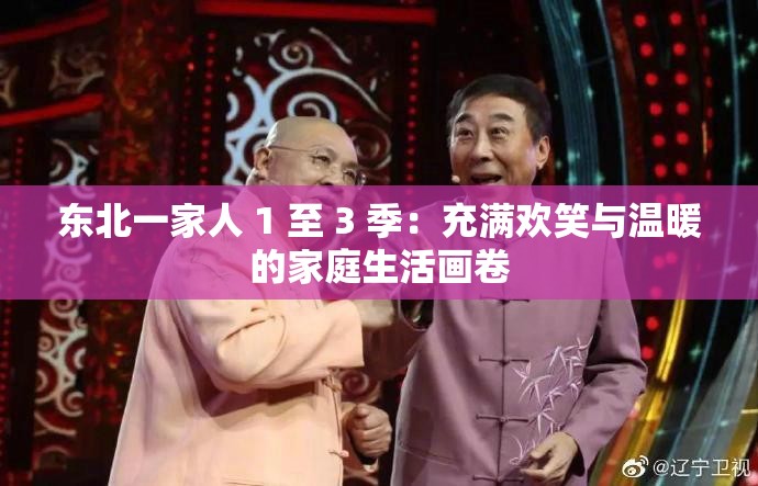 东北一家人 1 至 3 季：充满欢笑与温暖的家庭生活画卷