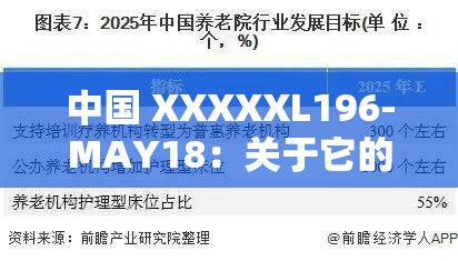 中国 XXXXXL196-MAY18：关于它的详细解读与深入分析