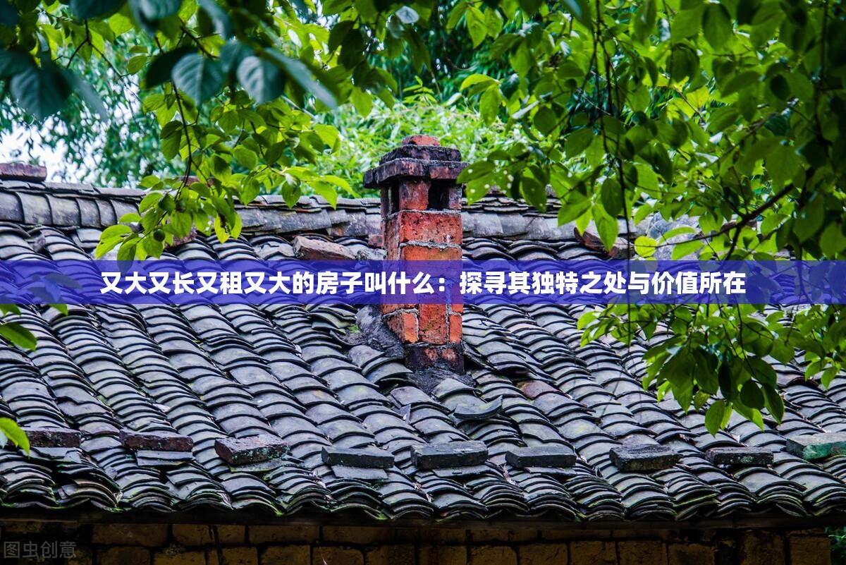 又大又长又租又大的房子叫什么：探寻其独特之处与价值所在