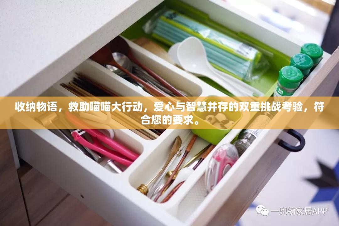 收纳物语，救助喵喵大行动，爱心与智慧并存的双重挑战考验，符合您的要求。